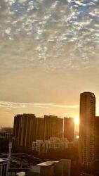 Blk 311A Trivelis (Clementi), HDB 4 Rooms #634255581